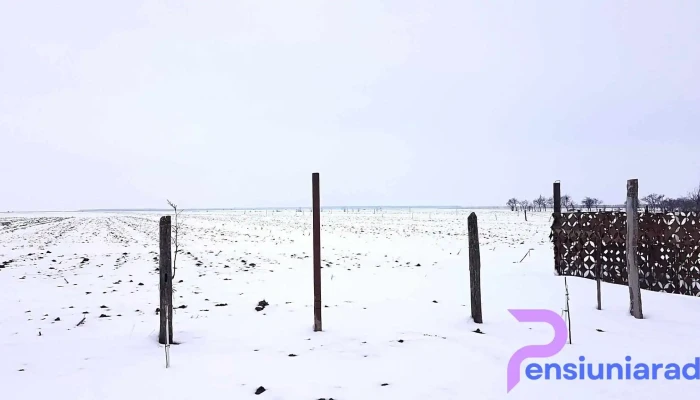 Rascaieti Site Web - Răscăieţi