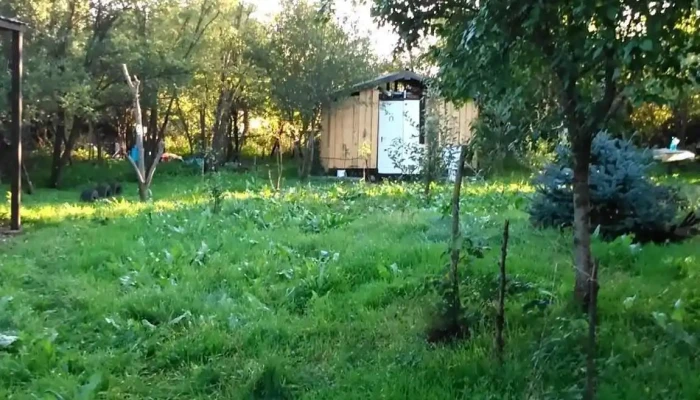 Rasuceni Aproape De Mine - Răsuceni