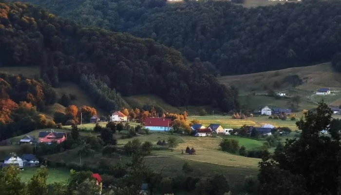 Rebrisoara Peisaj - Năsăud