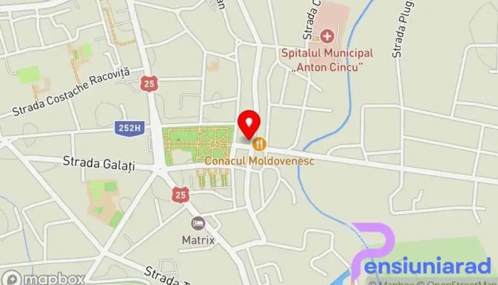Restaurant Andra Tecuci -  Hartă - Tecuci