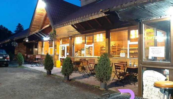 Restaurant Cotmeana - Lintești 117311