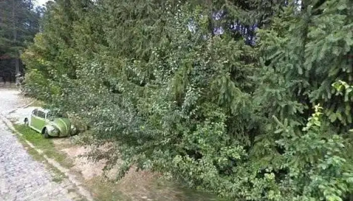 Restaurant Cppi -  Street View Si 360deg - Bușteni