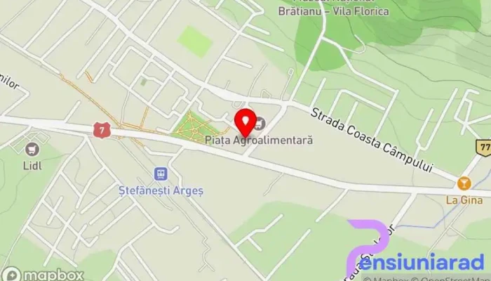hartă a Restaurant Dealul Viilor Restaurant în Ștefăneștii Noi