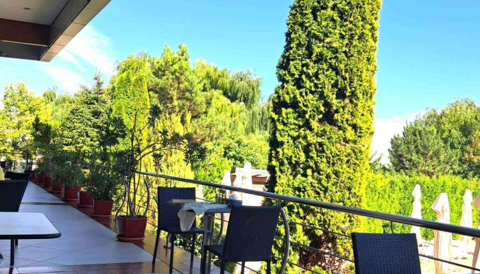 Restaurant Elisa -  Atmosfera - Belciugatele