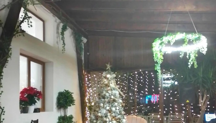 Restaurant Green City -  Deschis Acum - 1 Decembrie