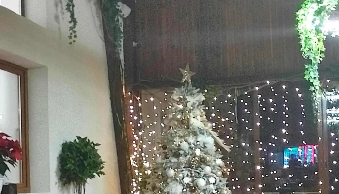 Restaurant Green City -  Recenzii - 1 Decembrie