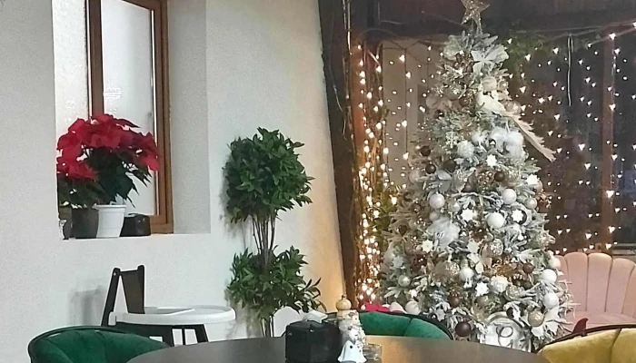 Restaurant Green City -  Telefon - 1 Decembrie