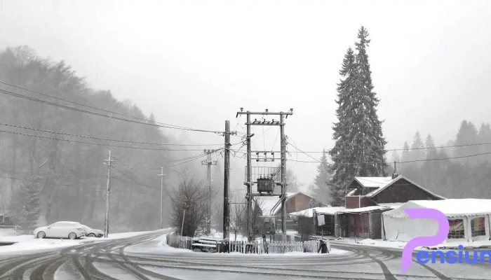 Restaurant Gura Diham -  Cele Mai Recente - Strada Valea Cerbului