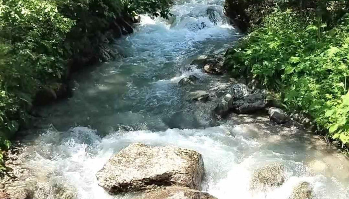 Restaurant Gura Diham -  Videoclipuri - Strada Valea Cerbului