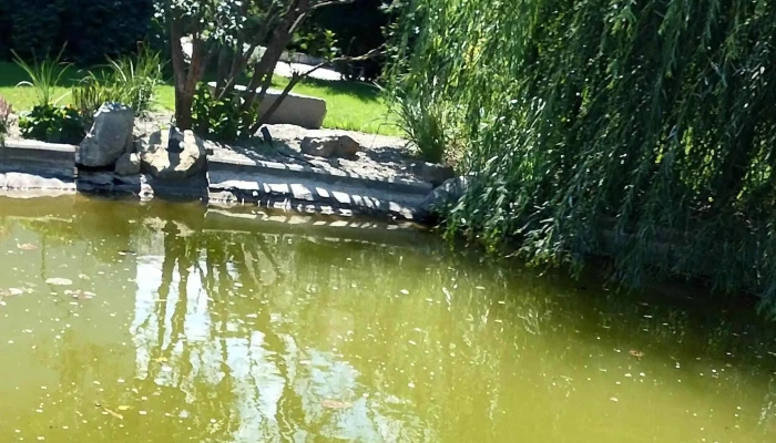 Restaurant Hanul Ancutei Număr - Hanul Ancuței