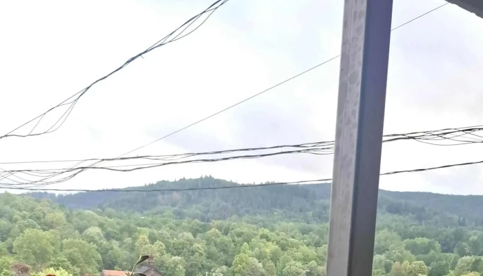 Restaurant Martisorul -  Adresă - Cacica