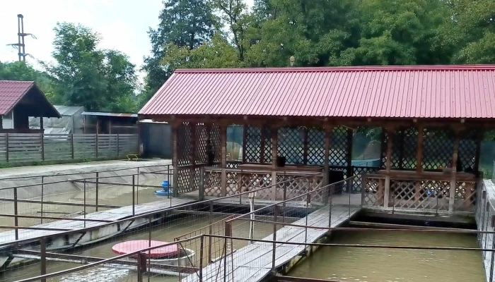 Restaurant Pastravarie Costesti -  Locație - Costești