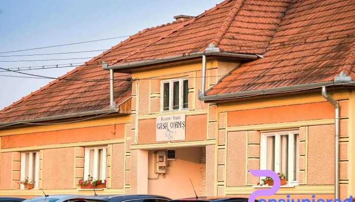 Restaurant Pensiune Casa Cornis - Pomezeu 417380