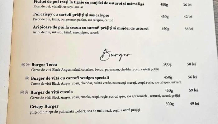 Restaurant Pizza Trattoria Terra Meniu - Voluntari