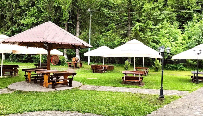 Restaurant Rhein Azuga -  Aproape De Mine - Azuga