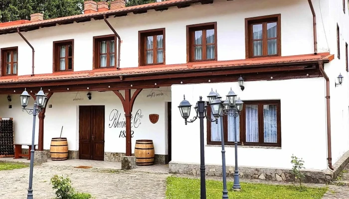 Restaurant Rhein Azuga -  Promoție - Azuga