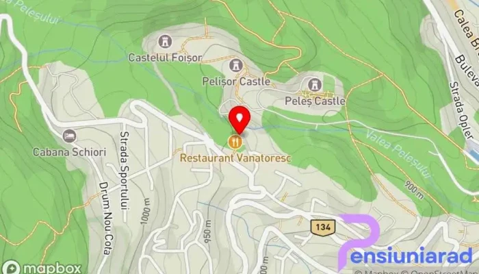 hartă a Restaurant Vânătoresc Furnica Restaurant în Sinaia
