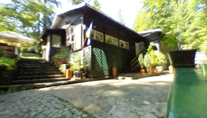 Restaurant Vanatoresc Furnica Street View Si 360deg - Sinaia