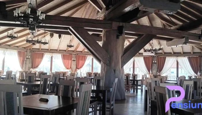 Restaurant Vestigii Strabune Cele Mai Recente - Sarmizegetusa