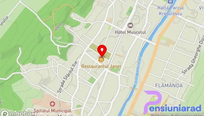 hartă a Restaurantul Janet Restaurant în Câmpulung