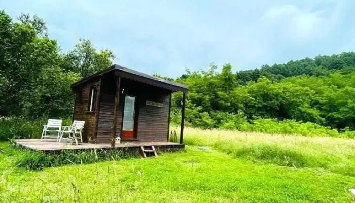 Retreat In Padure De La Proprietar - Buchin
