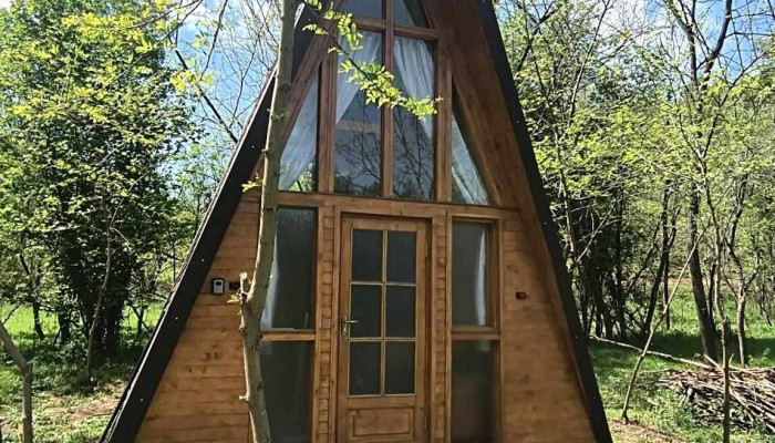 Retreat In Padure Exterior - Buchin