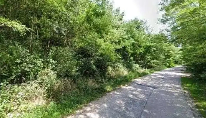 Retreat In Padure Street View Si 360deg - Buchin