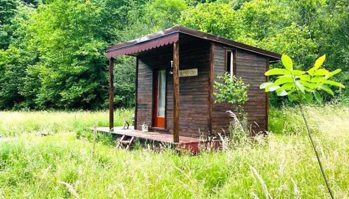 Retreat in pădure - Buchin