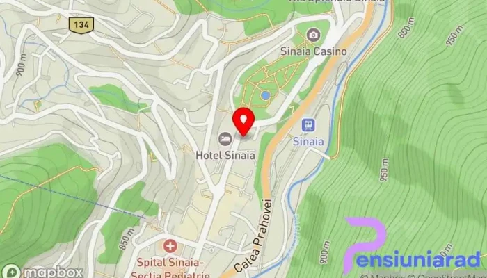 hartă a RINA Cerbul Hotel, Restaurant în Sinaia