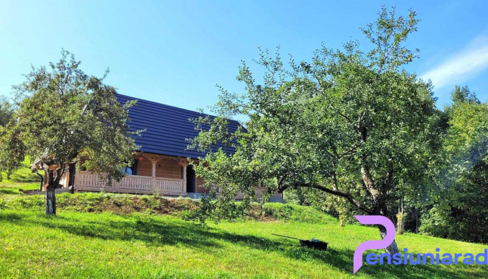 River Song Inn - Vișeu De Jos
