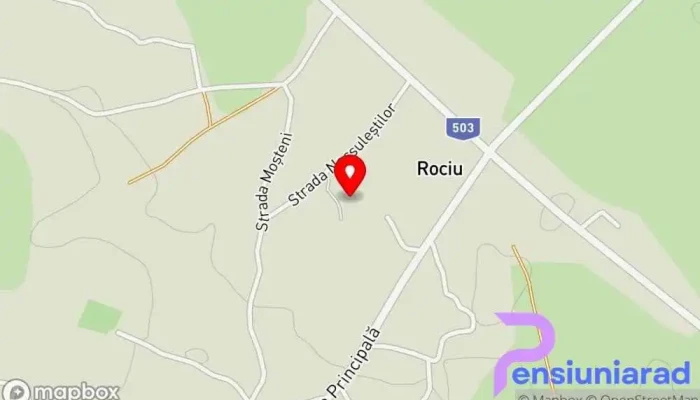 hartă a Rociu  în Rociu