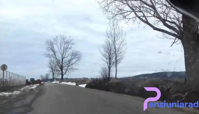 Romanesti Videoclipuri - Românesti