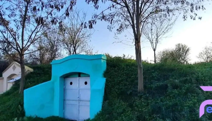 Rosiori Instagram - Roșiori