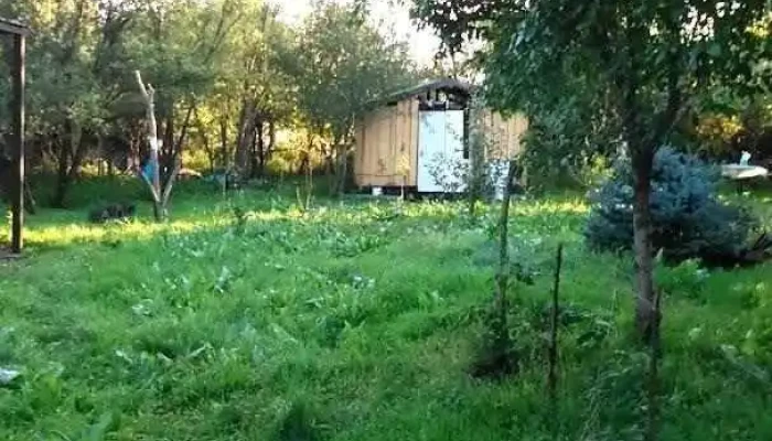 Răsuceni - Răsuceni