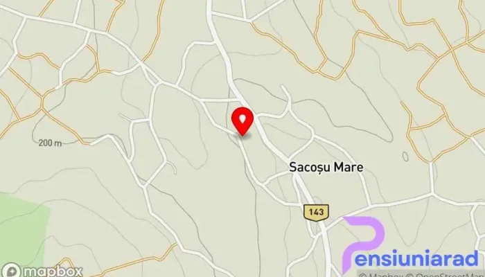 Sacosu Mare Hartă - Sacoșu Mare