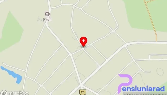 hartă a Sălard  în Sălard
