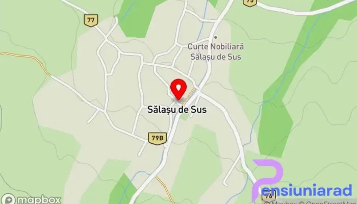 hartă a Salas Bed & Breakfast în Sălașu de Sus