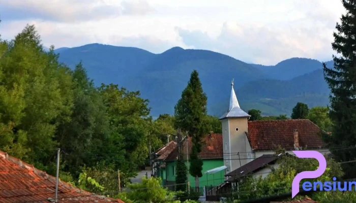 Salas - Sălașu De Sus