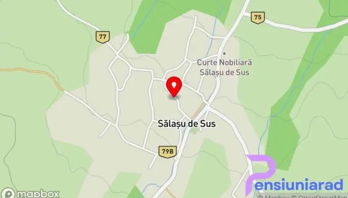 hartă a Sălașu de Sus  în Sălașu de Sus