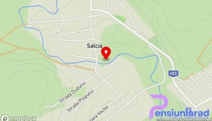 hartă a Salcia  în Salcia