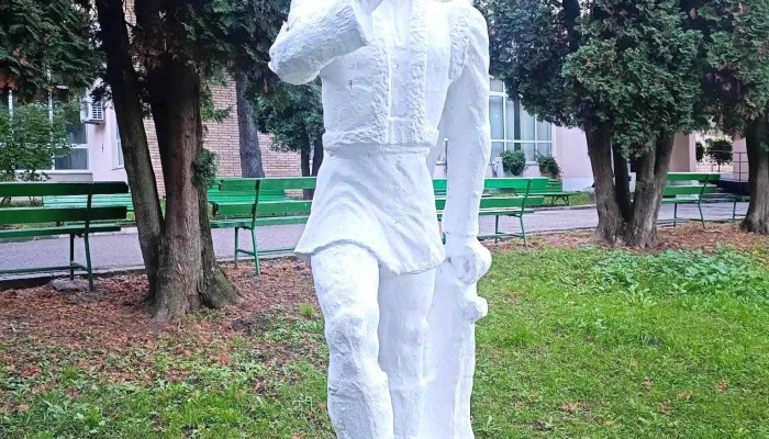 Sanatoriul De Balneofizioterapie Si Recuperare Medicala Dr Dimitrie Cantemir Exterior - Bălțătești