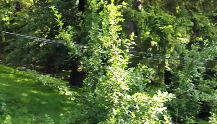 Sanatoriul De Balneofizioterapie Si Recuperare Medicala Dr Dimitrie Cantemir Videoclipuri - Bălțătești