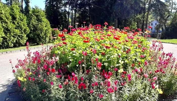 Sangeorz Bai -    Statiune   Cazare   Atractii Turistice Fotografii - Sângeorz-băi