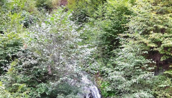 Sangeorz Bai -    Statiune   Cazare   Atractii Turistice Prețuri - Sângeorz-băi