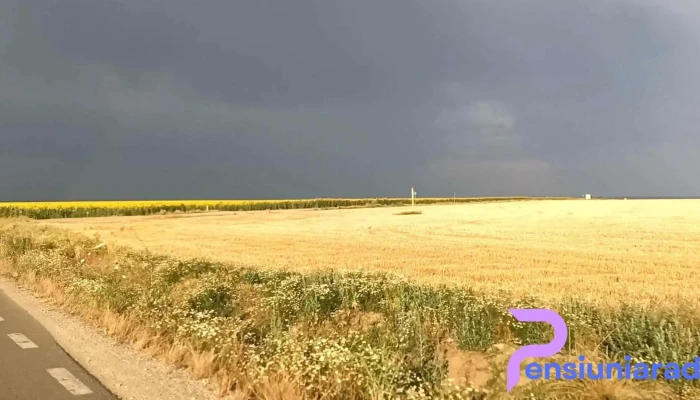 Sanicolau Roman Videoclipuri - Sânicolau Român