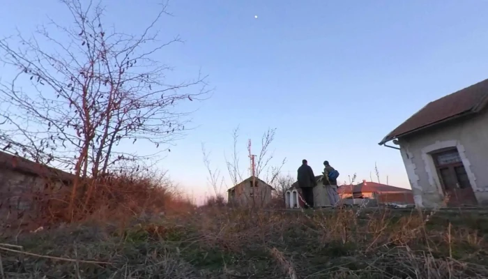 Sannicolau Mare -  Street View Si 360deg - Sânnicolau Mare
