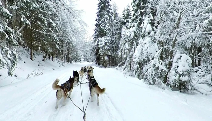 Santimbru Bai Street View Si 360deg - Sântimbru-băi