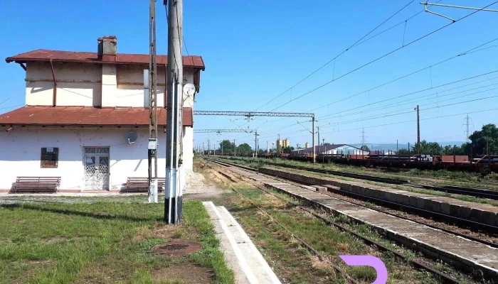 Sascut -  Sina - Sascut