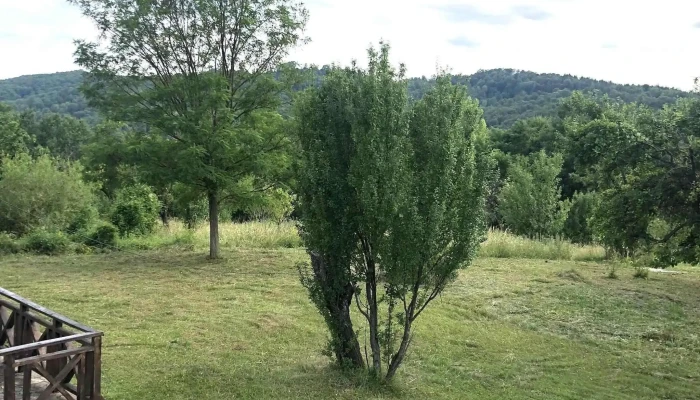 Satul Prunilor -  Aproape De Mine - Pietroşiţa