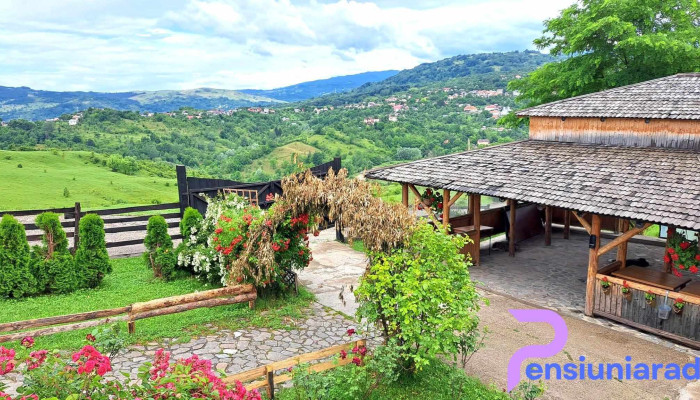 Satul Prunilor -  Exterior - Pietroşiţa